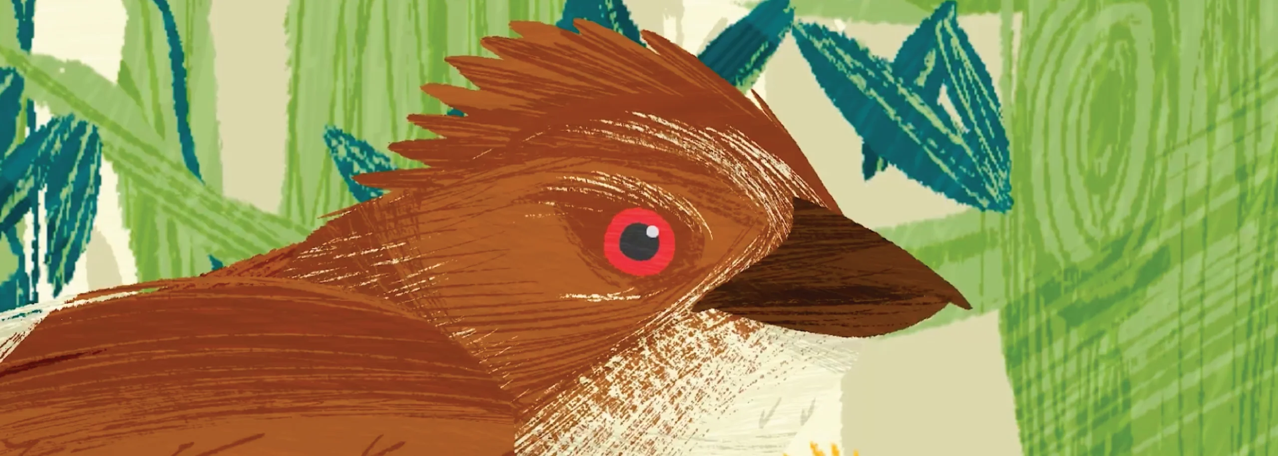 Mingoya, tierra de ornitologos. Animacion. Festival Planet on 2025