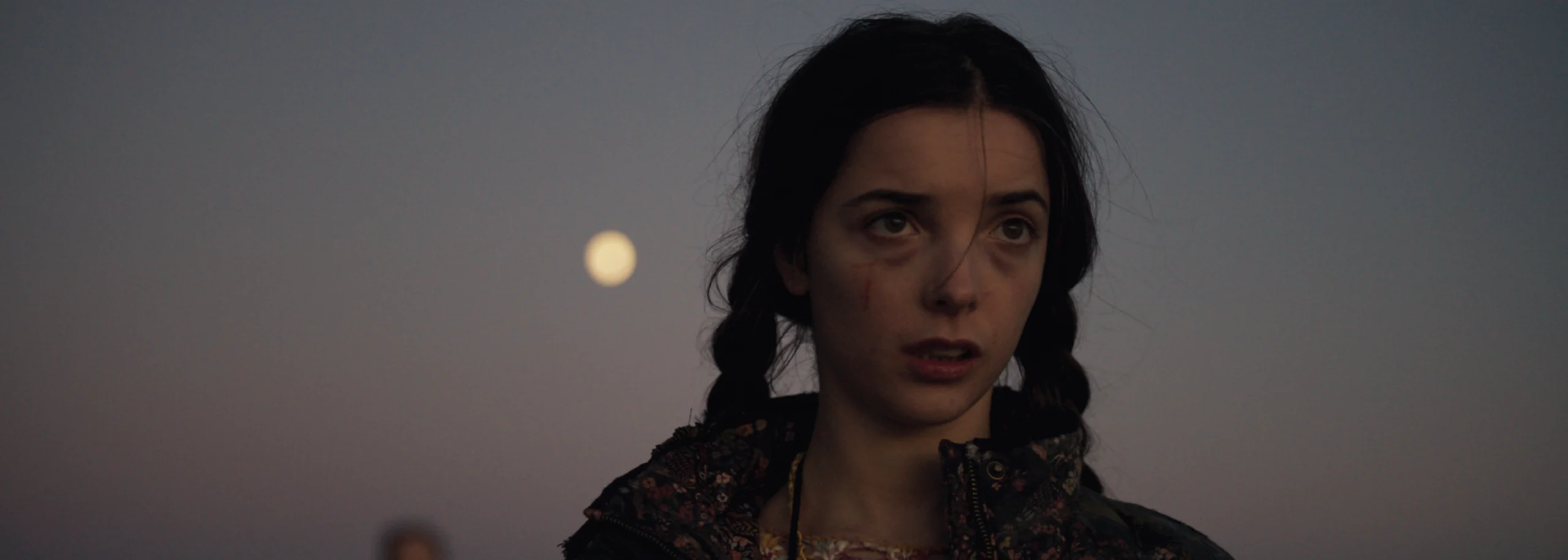 La loba, el zorro y el leopardo | Festival Internacional de Cine Ambiental • PLANET ON 2025